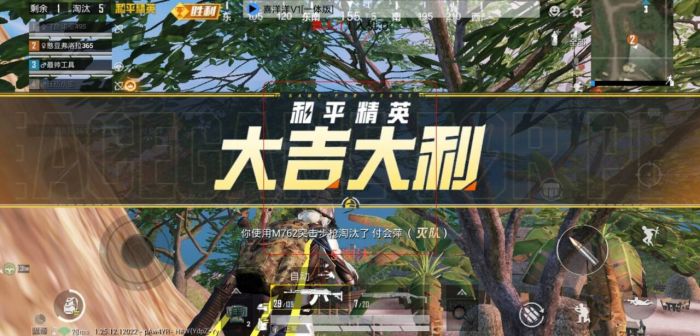 和平精英的外挂是什么样（和平精英的最新外挂是什么）